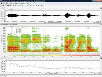 spr-en-spektrogram-realtime-337.jpg